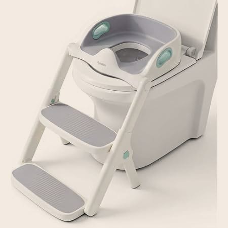 2-in-1 Potty Seat with Step Stool